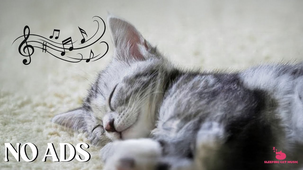 Calming Music for Cats 💤 Soft Purrs with Gentle Fireplace Sounds for Healing & Deep Sleep