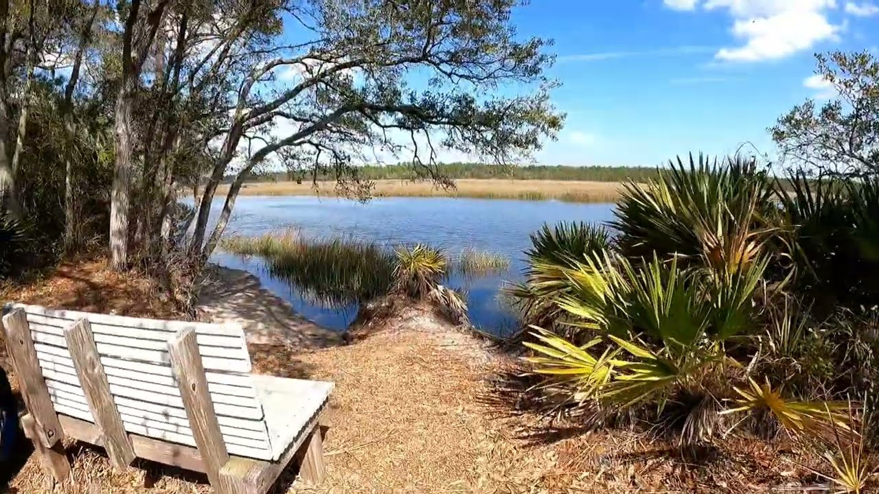 7 Creeks Preserve in Jacksonville FL 02/24/23