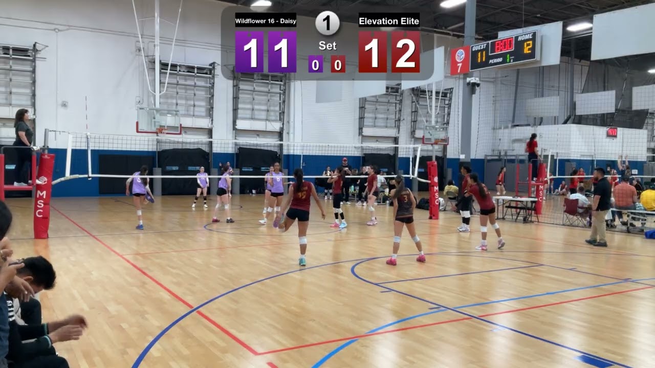 3.7.2026 Elevation Elite vs. Wildflower