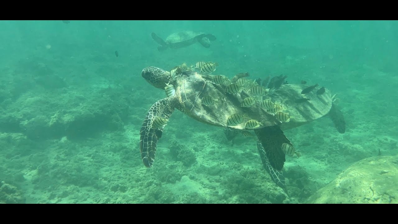 9 Days on Kauai on a Reasonable Budget