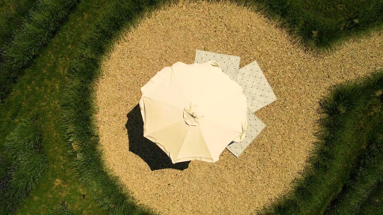 Královská levandule | Nový Knín