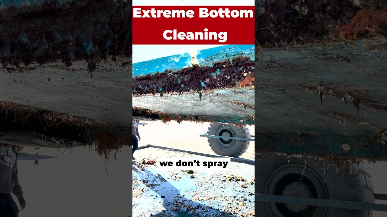 Extreme Hull Cleaning it's Been 4 Years