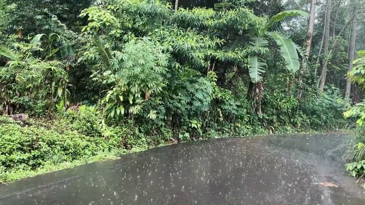 Heavy Rain in a Quiet Village 🌧️ Peaceful Countryside Rain Sounds for Deep Sleep