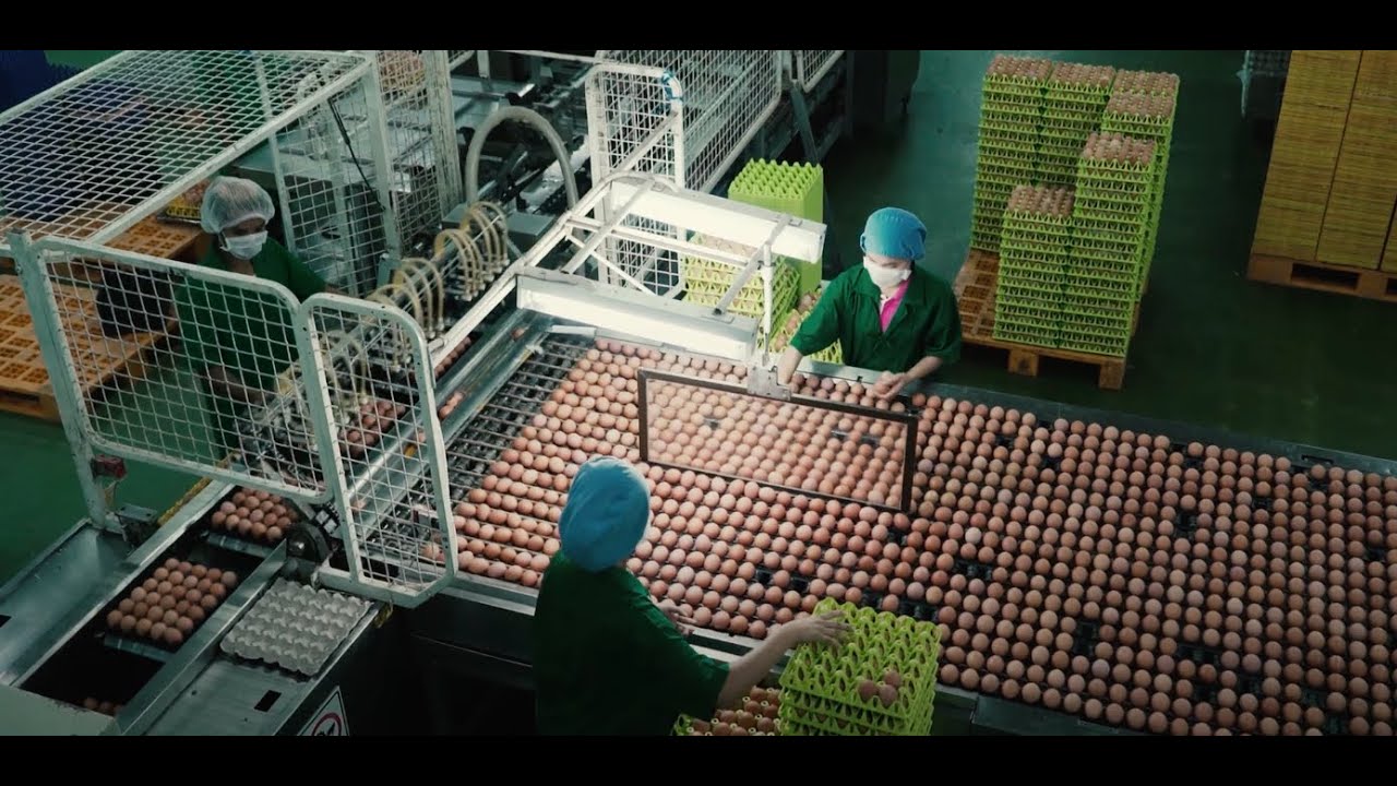 Introduction to Migration, Business and Human Rights Programme in Asia [English]