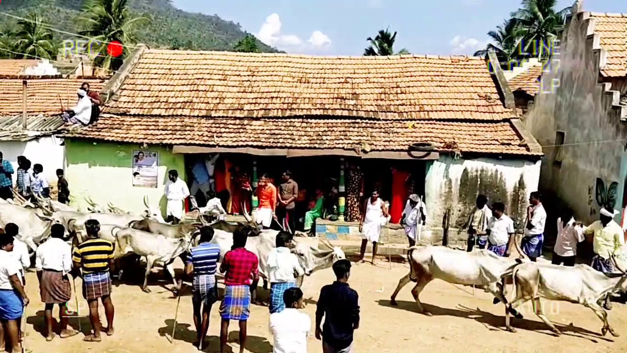 dabbaguli Kesthur