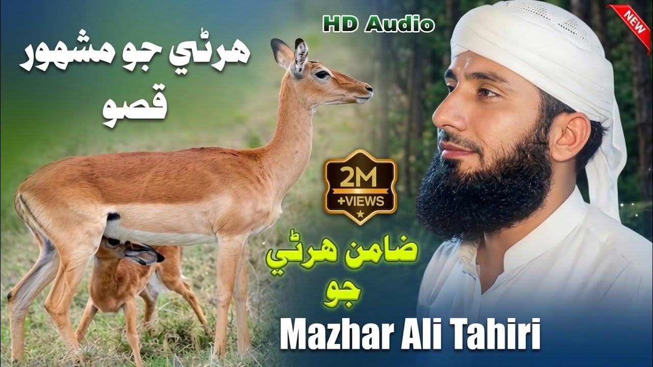 Harni Qisso Complete Naat 2025 By Faqeer Mazhar Khashkeli // New Sindhi Naat // Sawab Tv