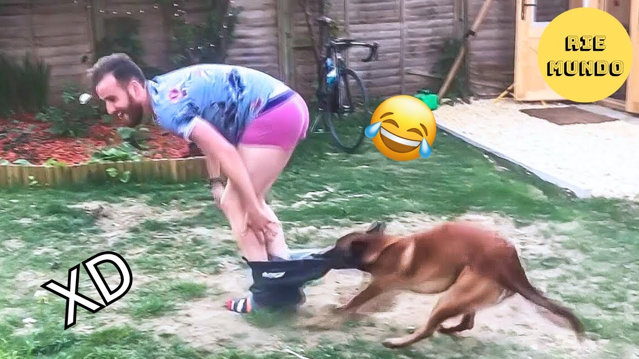 SI TE RÍES PIERDES NIVEL DIOS #3 😂 Los Videos Graciosos Y Memes Más Virales Del 2025 😁