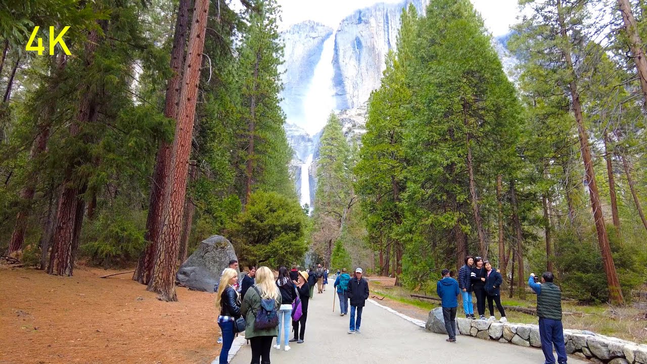 Yosemite 2022 Spring - Lower Yosemite Falls Trailhead To Cook's Meadow Loop [4K 60fps]