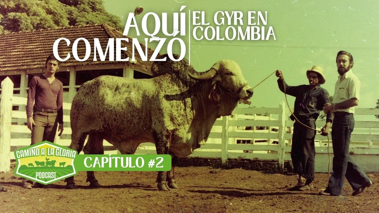 El GYR en COLOMBIA: un poco de HISTORIA