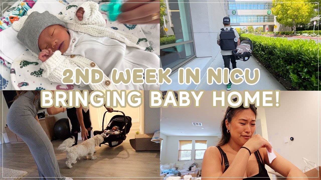 My 1st Mothers Day, Bringing Baby Home from the NICU, Our Dog meets Baby | Unexpected Preemie Baby