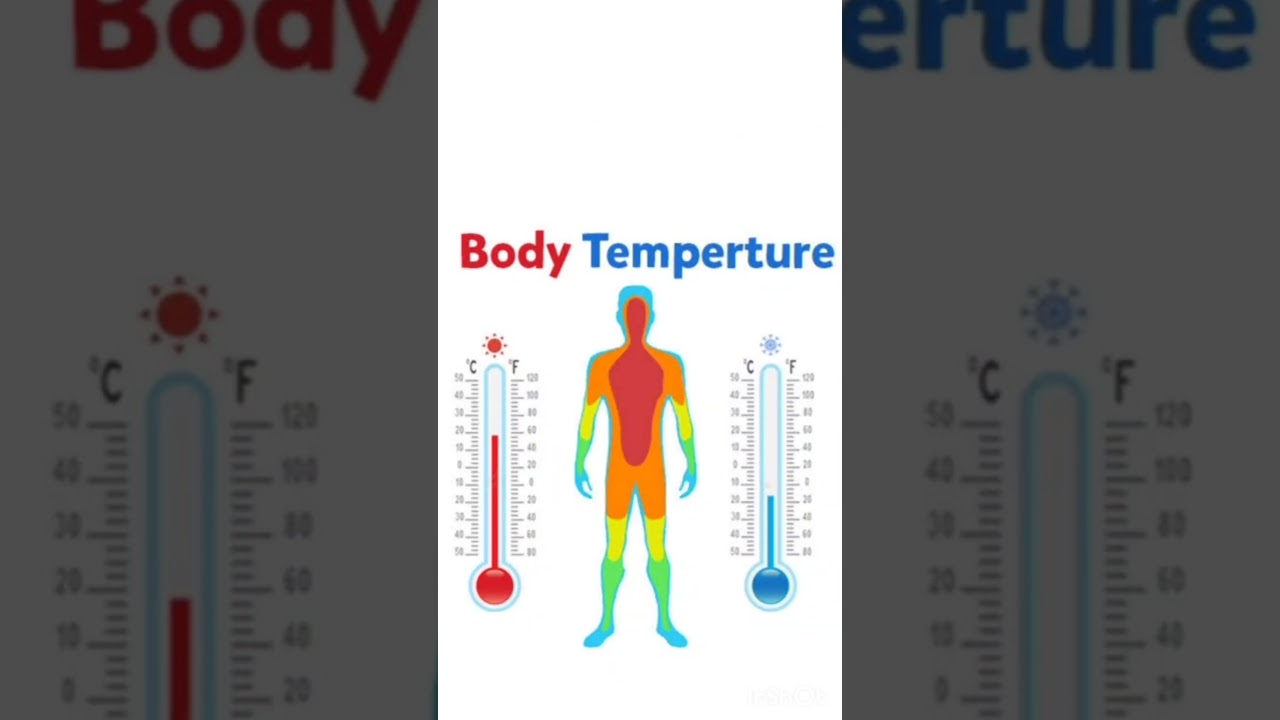 Human Body Temperature #fact