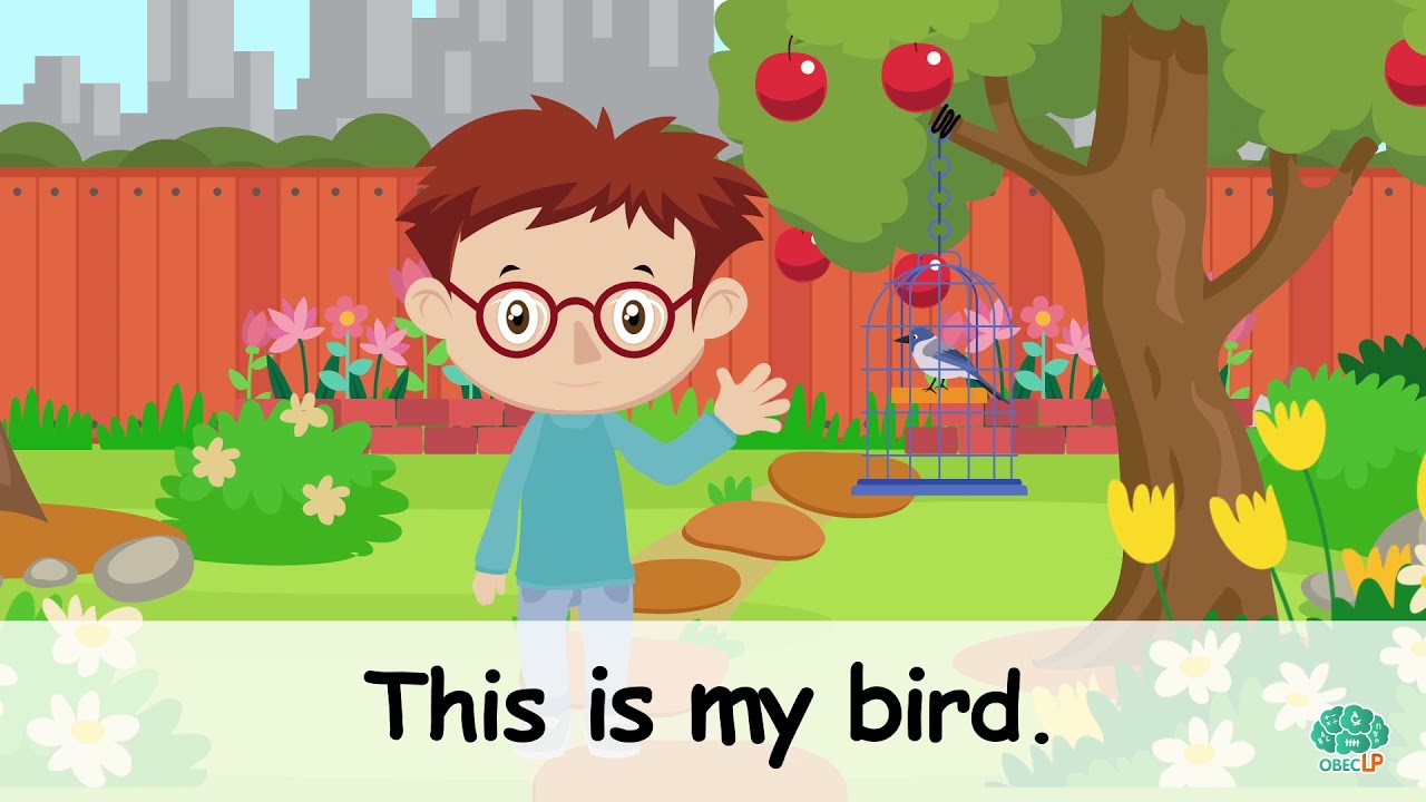 Life at Home  - My Pets - ภาษาอังกฤษ ป.1