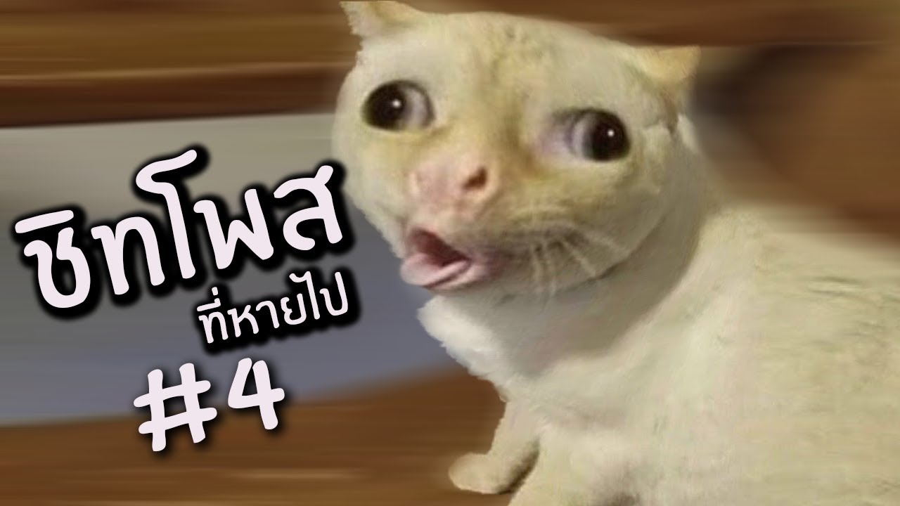 ชิทโพสเค็มๆรอบ 4 ที่หายไป ( อัพใหม่เพราะโดนลบ )