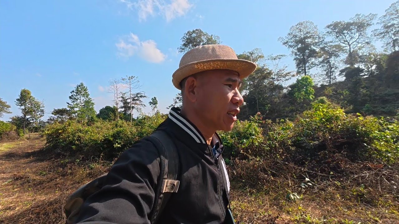ຍ່າງປີນຂຶ້ນພູ//เดินปีนภูเขา Dong Una