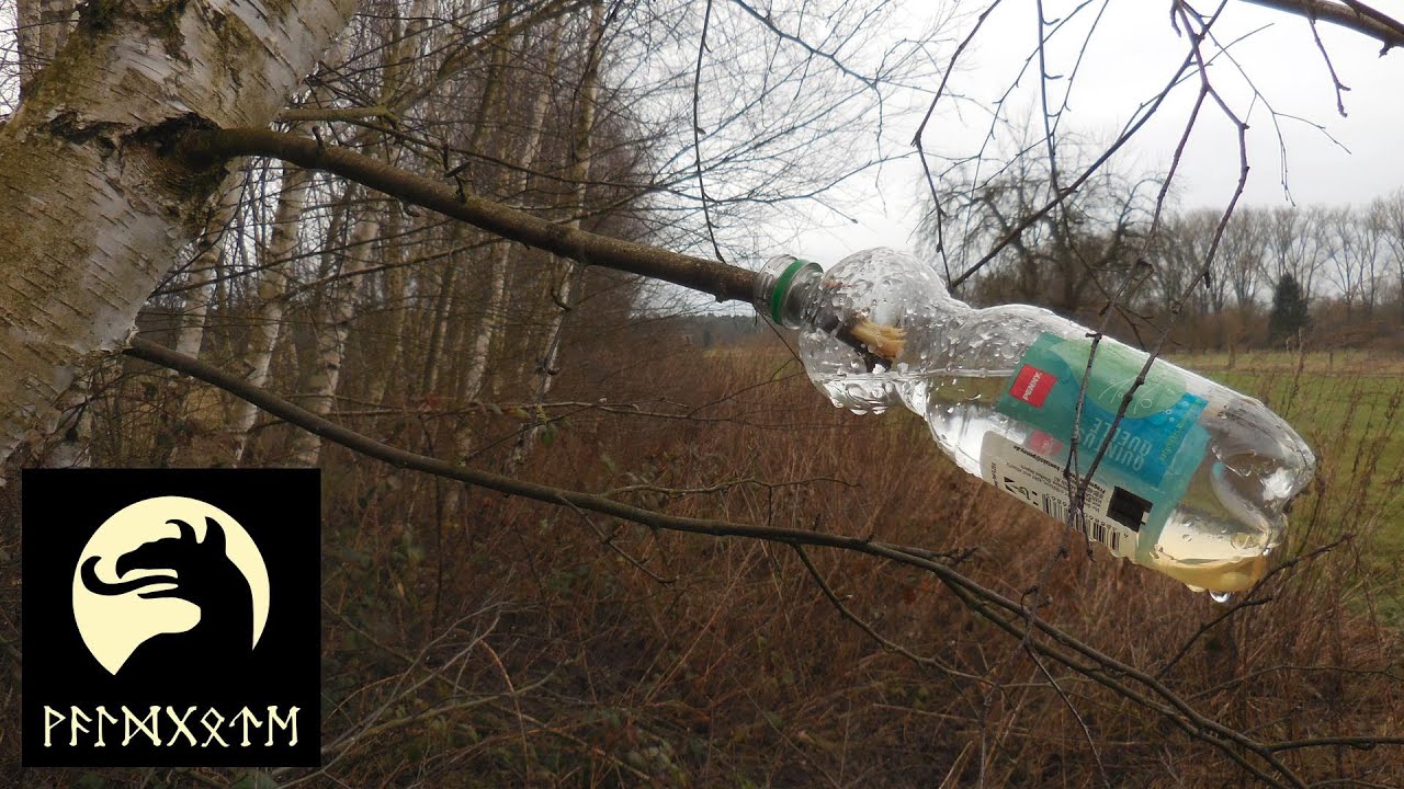 Waldgote Outdoor: Birkensaft zapfen (März 2018)