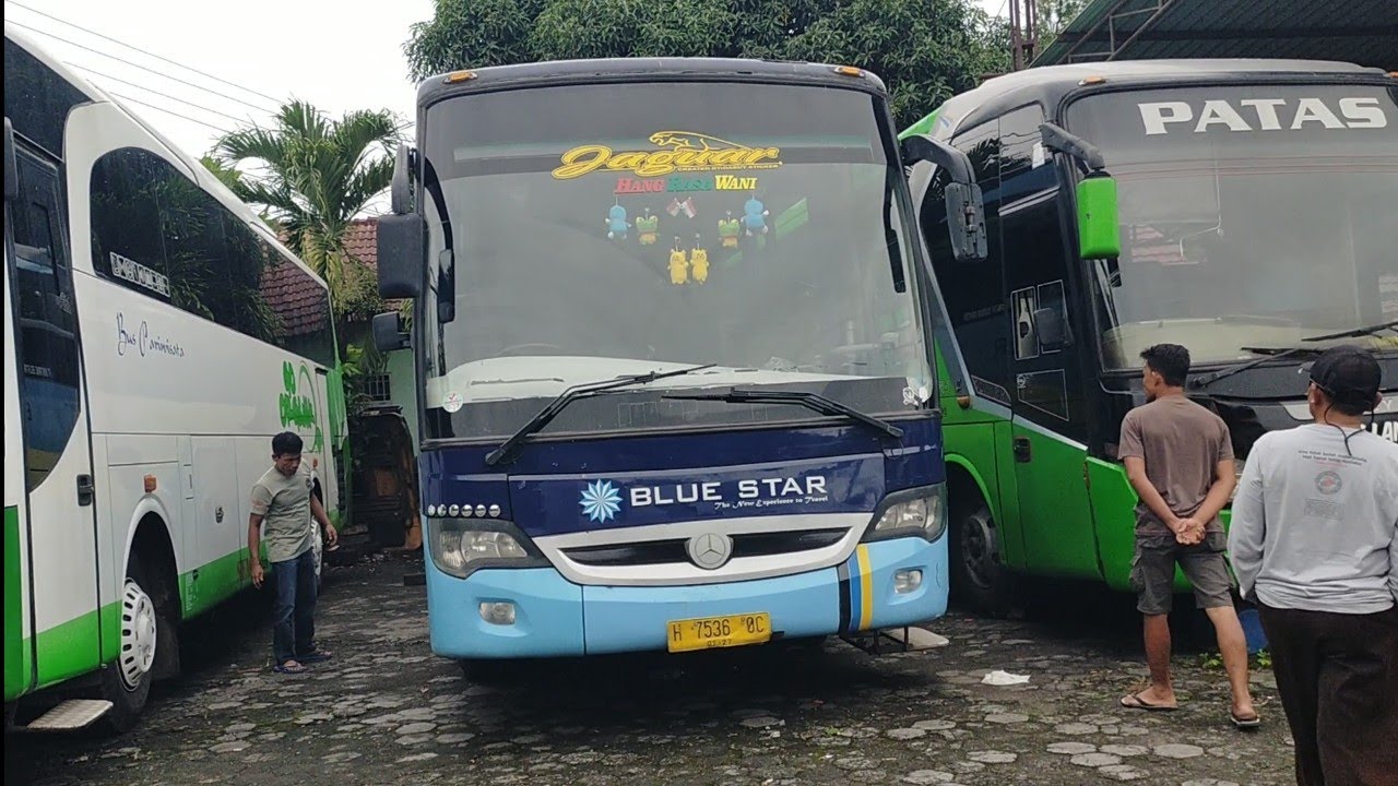 SEMUA CREW BUS ALS 391 LANGSUNG CEK & RICEK..‼️BUS AKAN DIBAWA KE BOGOR UNTUK DI CAT LIVERY BUS ALS