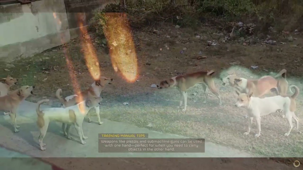 BARKING Mad (You'll get it once you watch it)