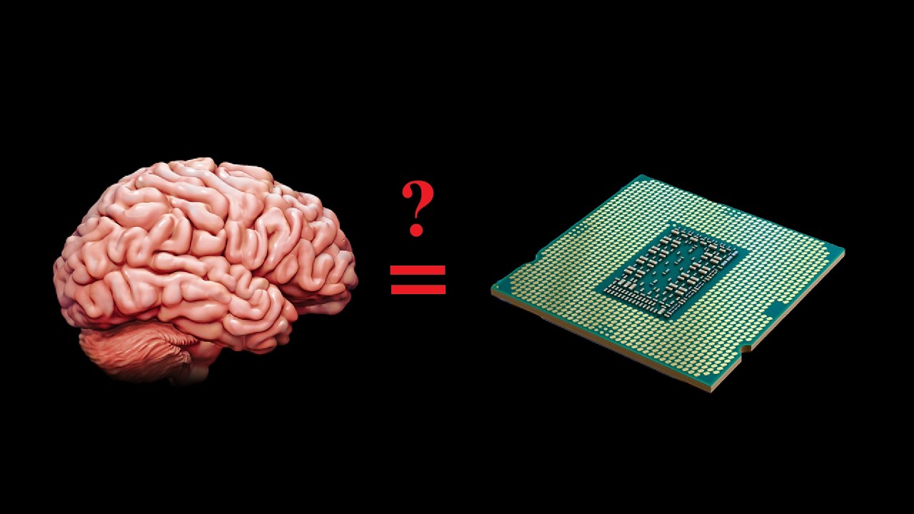 Mind: Does your brain work like a chip?