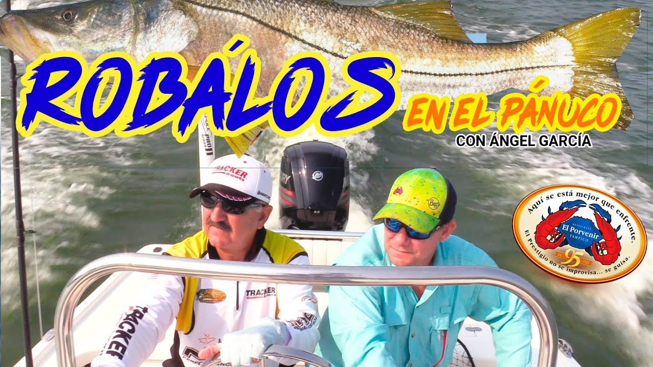 ¡¡¡ROBÁLOS!!! SNOOK en el Río Pánuco