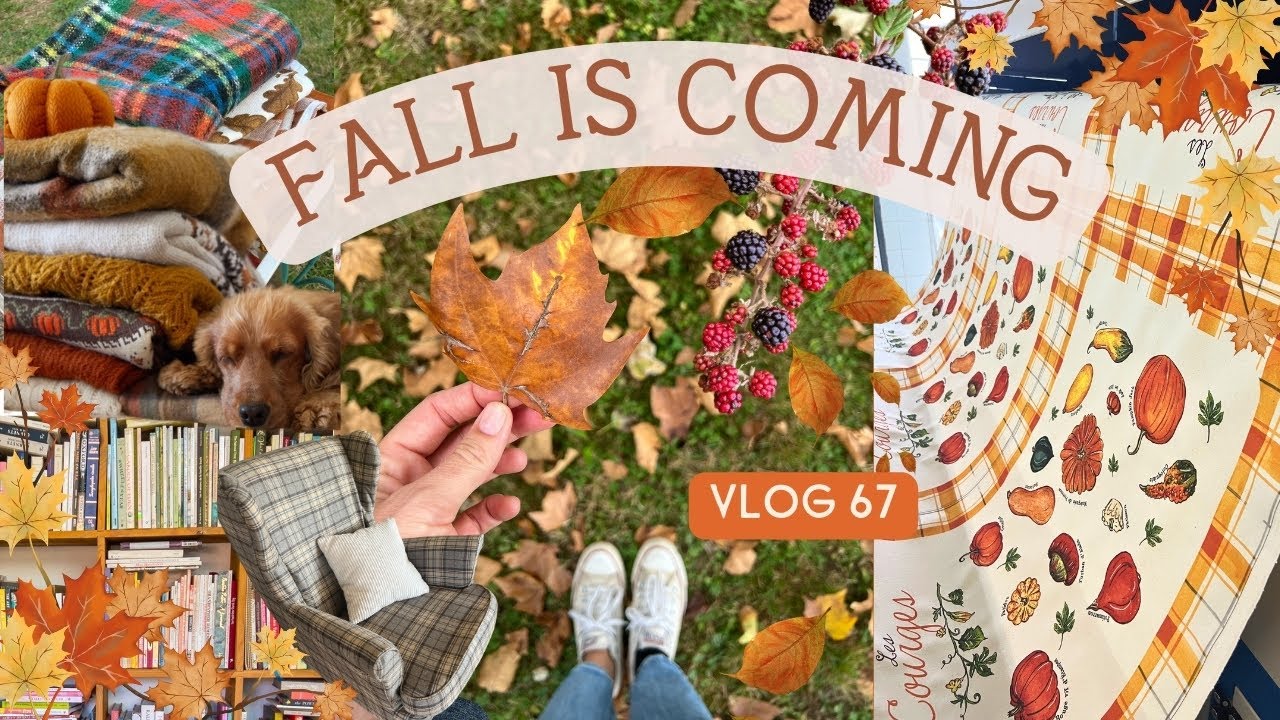 VLOG 67 🍂 Aménagement, préparation de l'automne et nouveaux produits ! 🍁