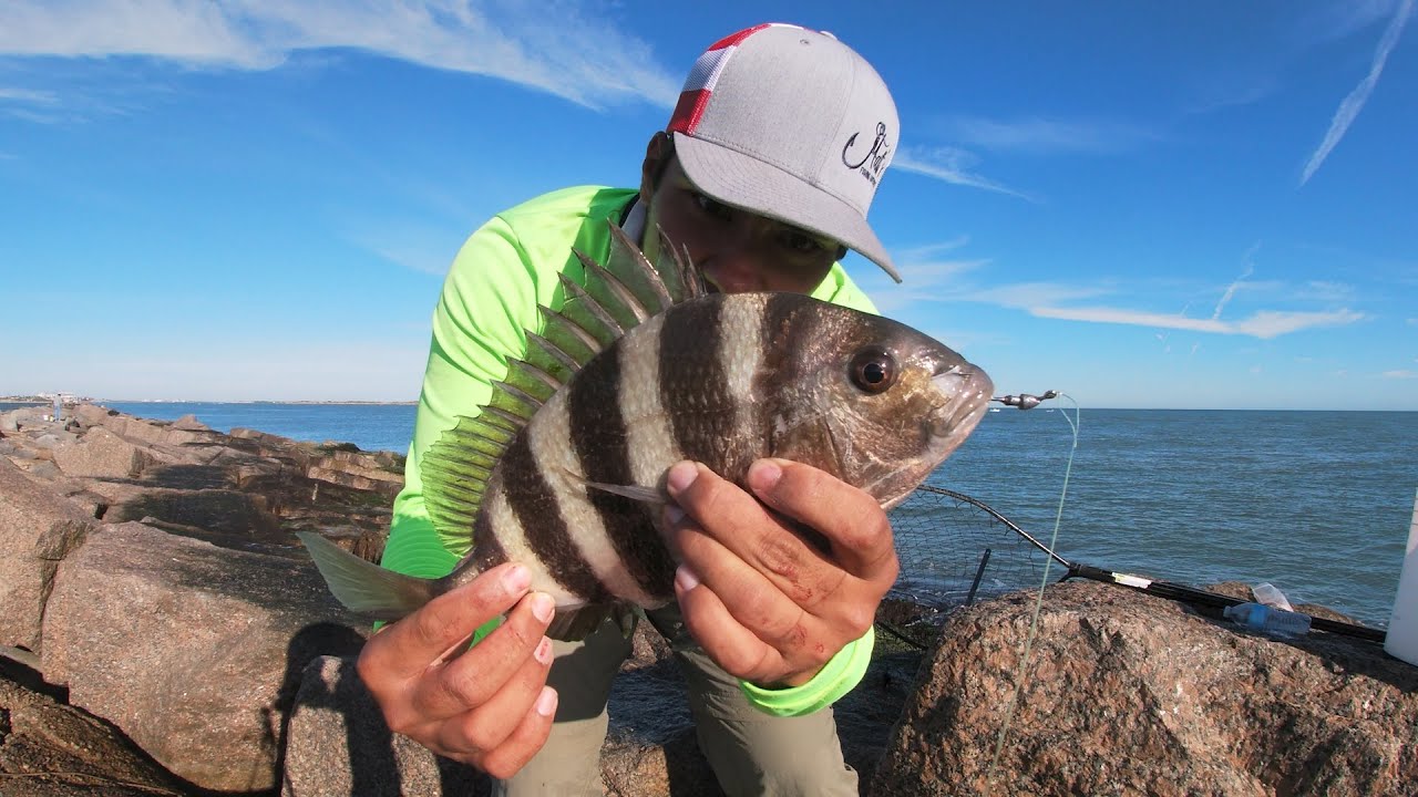 Port Aransas JETTY fishing for sheepshead using POPPING CORK. Bull Redfish are being Caught! 