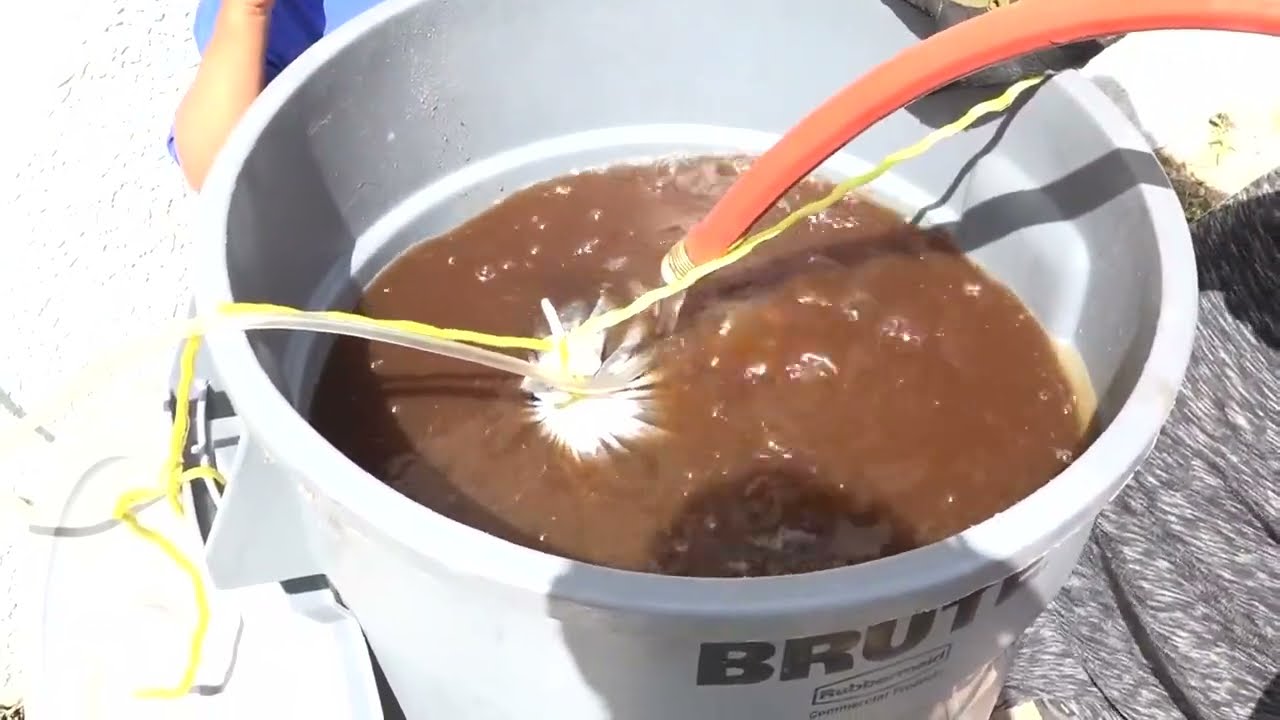 Grow Bigger Vegetables and a Produce a Greater Harvest Using Compost Tea