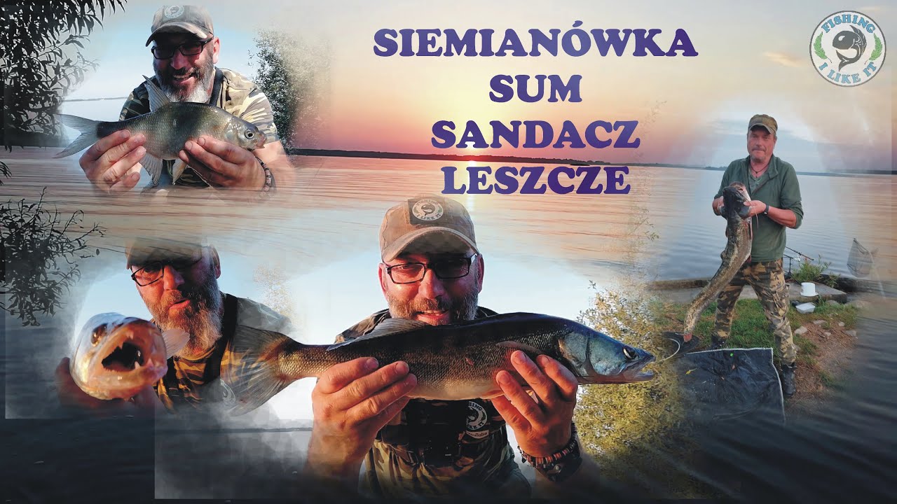 SIEMIANÓWKA, SUM, SANDACZ, LESZCZE