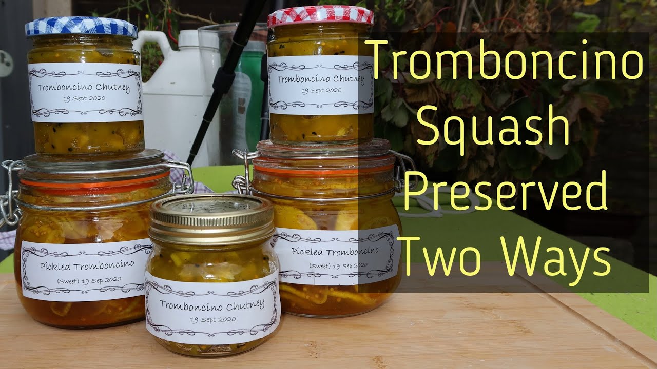 Two Tromboncino Squash Preserves Recipes - PICKLE and CHUTNEY