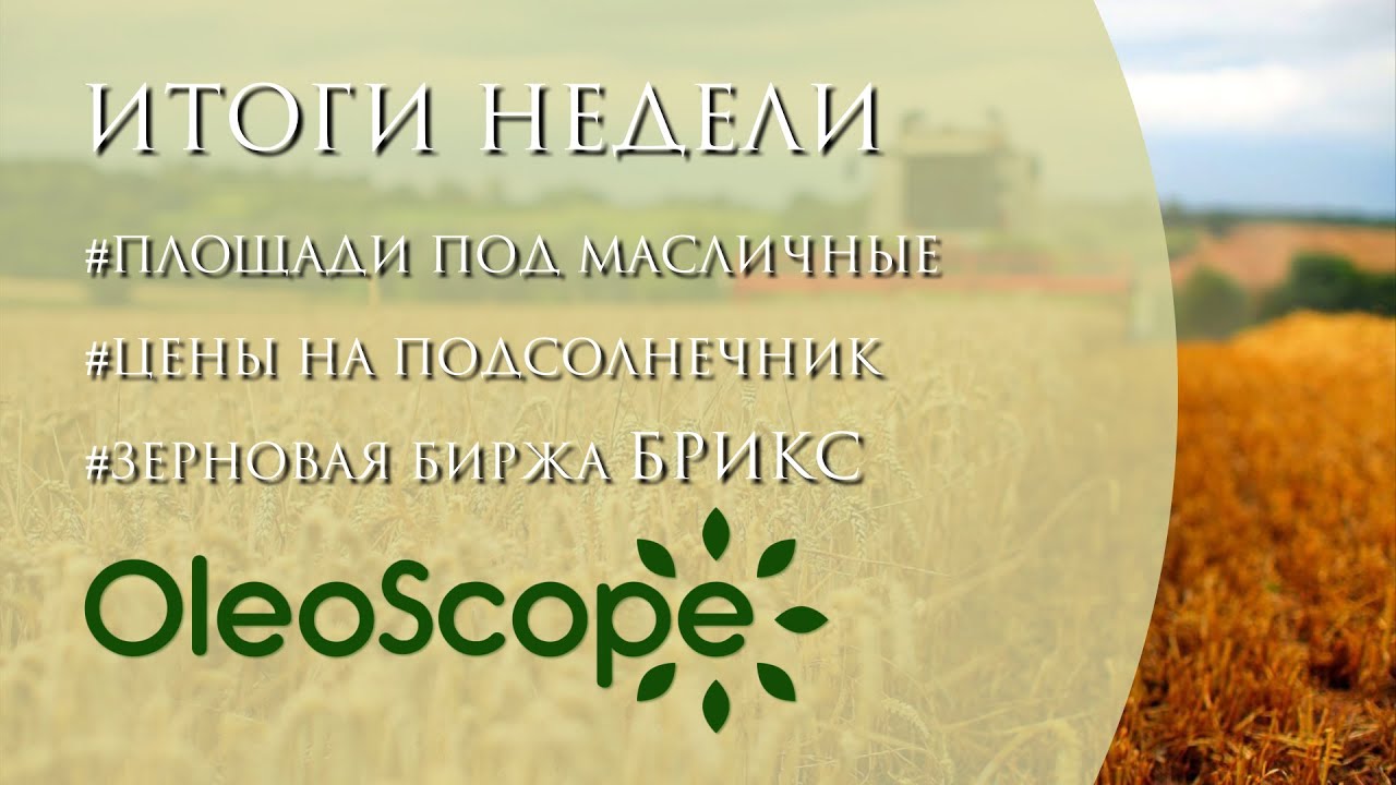Площади под масличные, цены на подсолнечник, зерновая биржа БРИКС