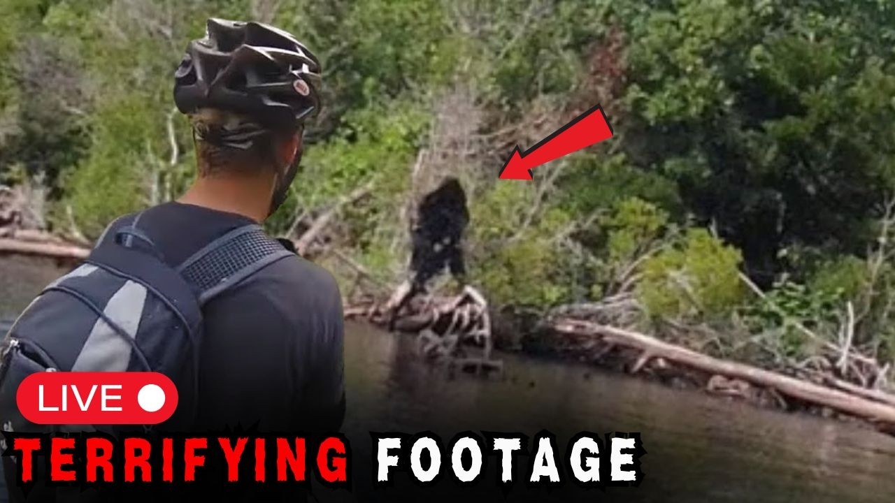 3 Hours of Most DISTURBING Bigfoot Encounters Caught on Camera