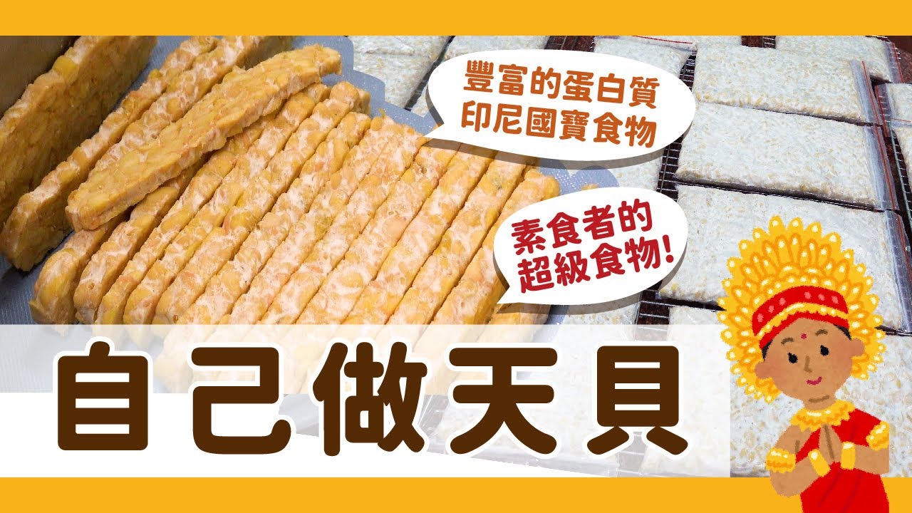 天貝自己做!自製天貝,天貝做法-含豐富之蛋白質被譽為超級食物【硬頸阿伯】食做系列-EP11