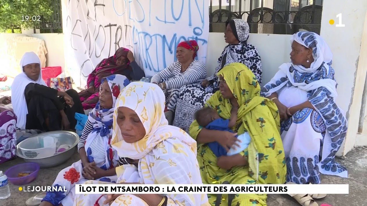 Ilot de Mtsamboro: La crainte des agriculteurs.