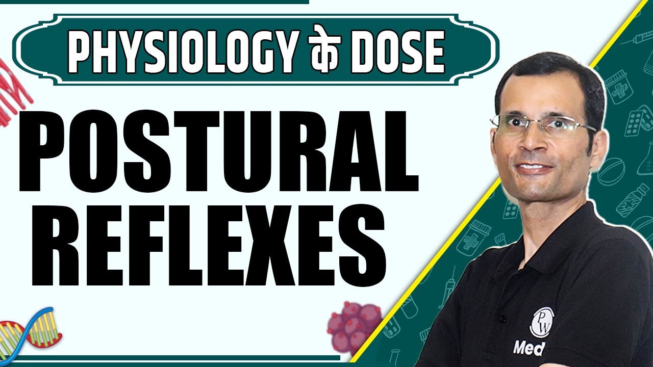 Postural Reflexes | 1st Year MBBS | Dr. Vivek | Physiology के Dose
