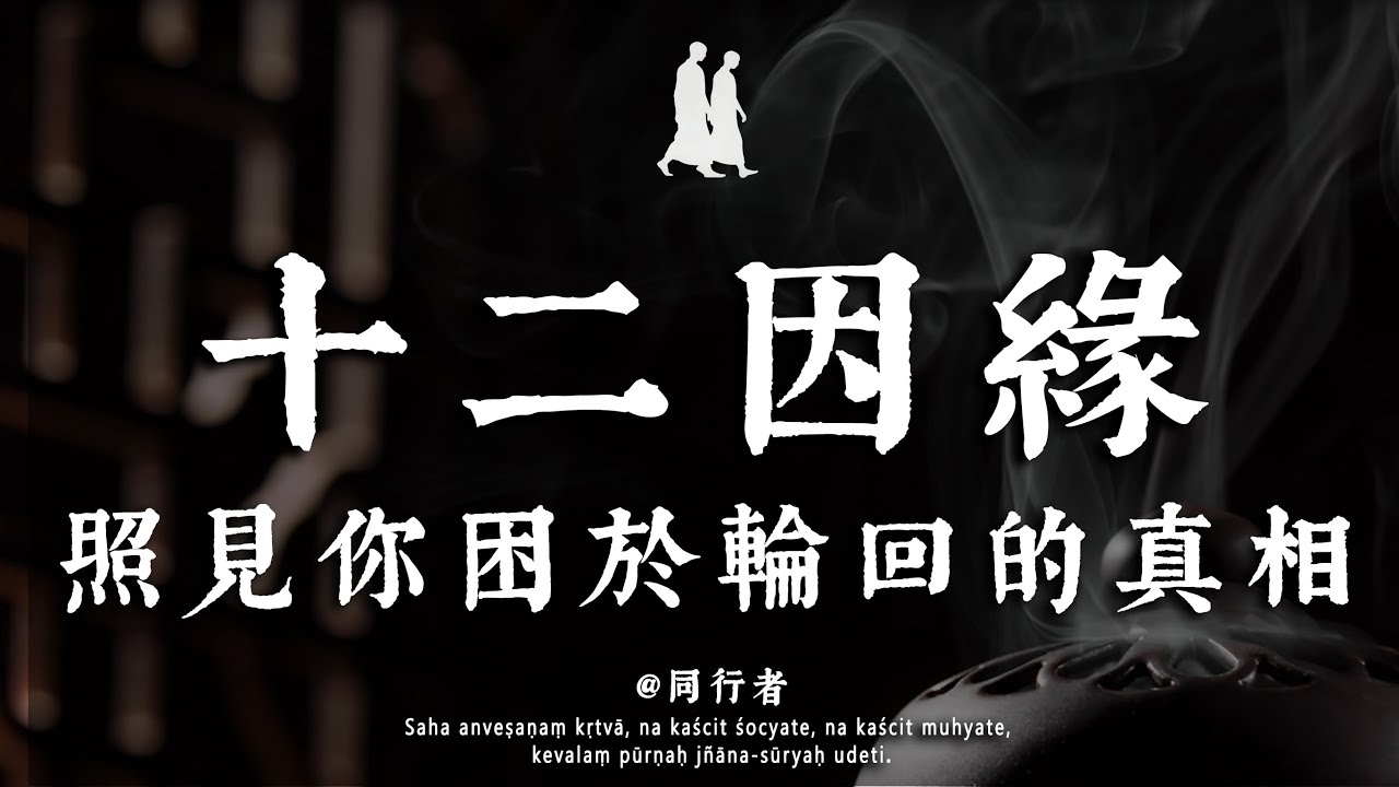 你為何困於輪回｜以十二因緣，讀懂生命迴圈的本質與覺醒的歸途#修行 #佛學 #人生感悟 #治癒 #禪悟人生#同行者