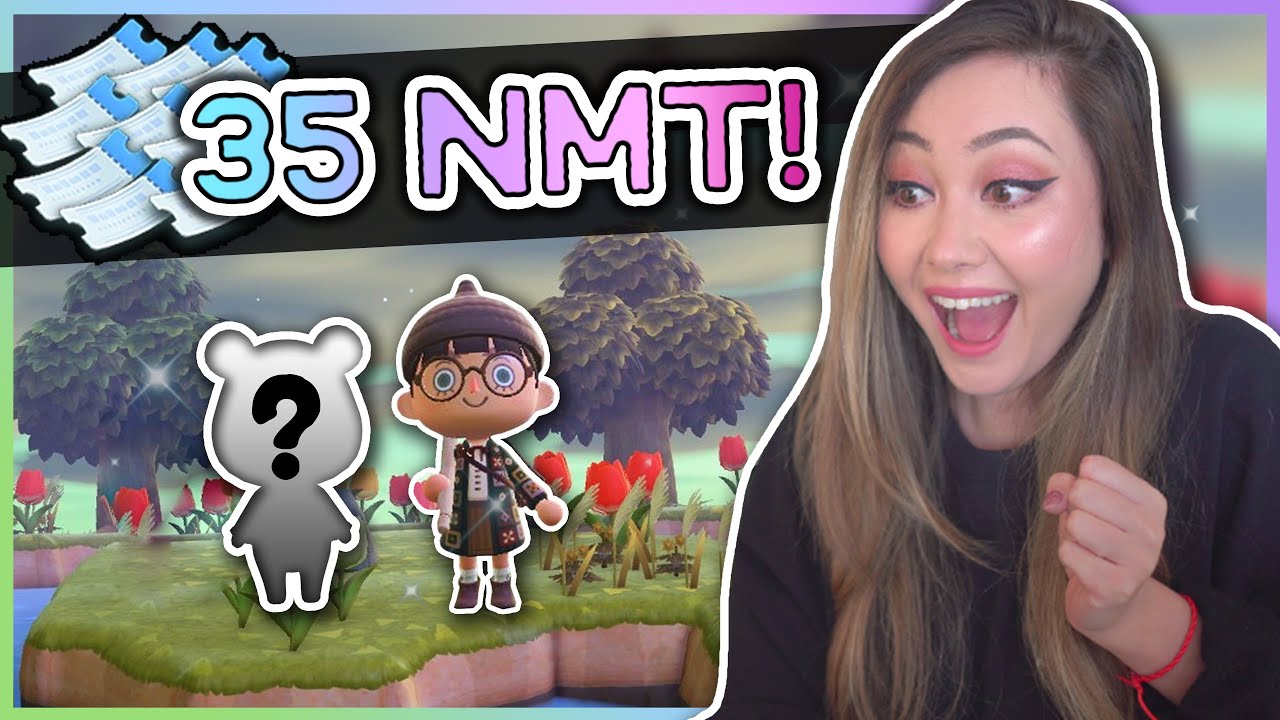 🐻 ONE OF MY SHORTEST DREAMY HUNTS? (Only 35 NMT!!!) | Animal Crossing New Horizons