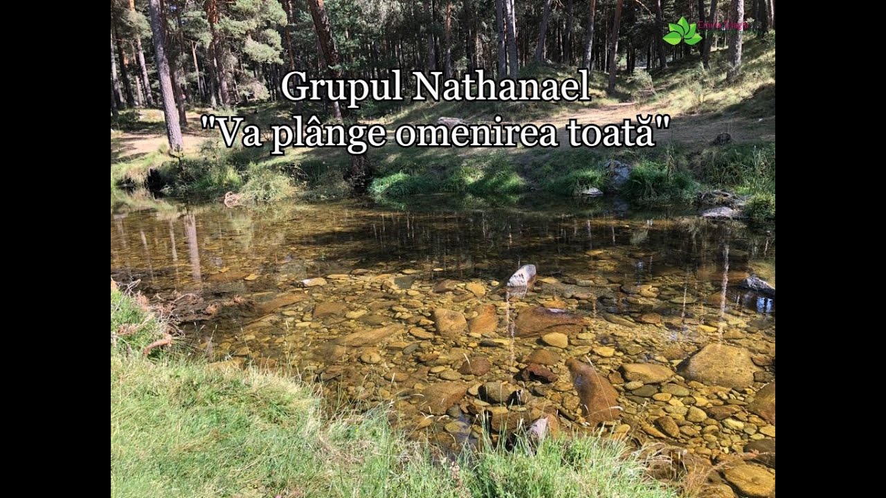 Grupul Nathanael  