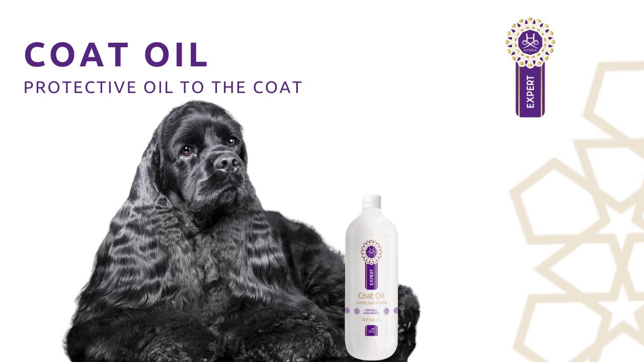 Hydra - Step by Step: Coat Oil - Learn how to use