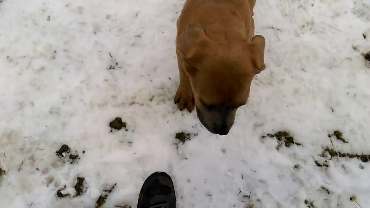 VIDEO0044