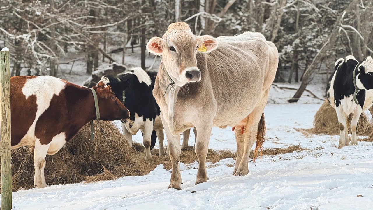 Five years at the farm.