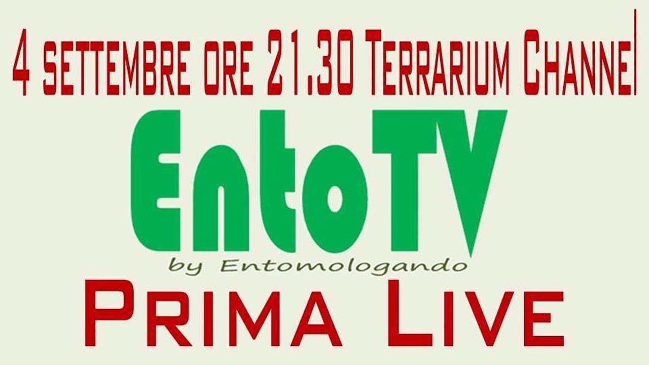 Live Ento-tv #01