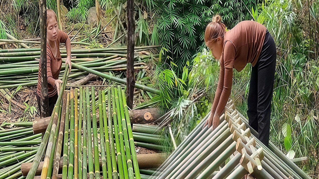 Solo Building Dream In Forest: Single Mom Building a Small Bamboo House on the River