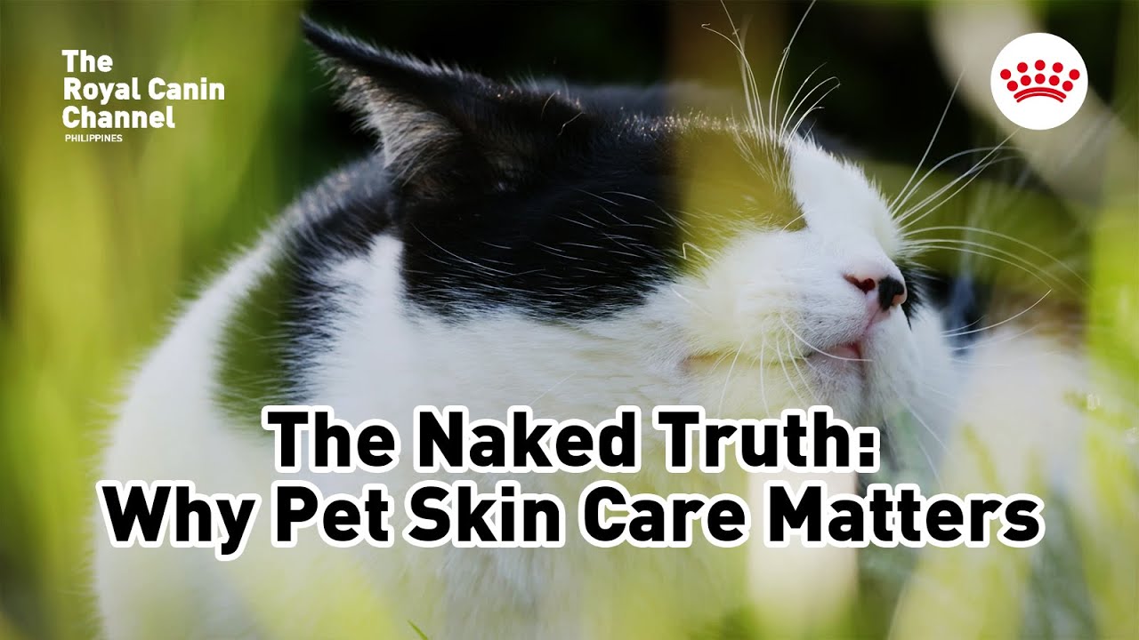 The Naked Truth: Why Pet Skin Care Matters