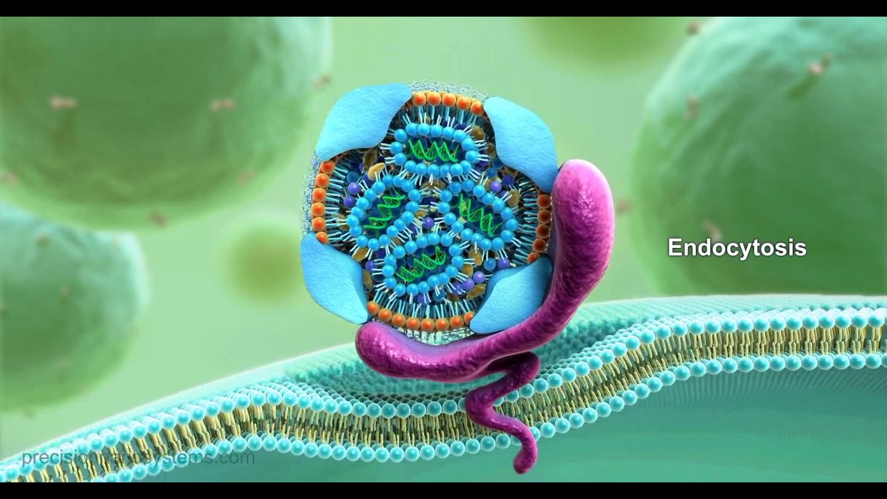 Precision NanoSystems | High Efficiency Cellular Transfection