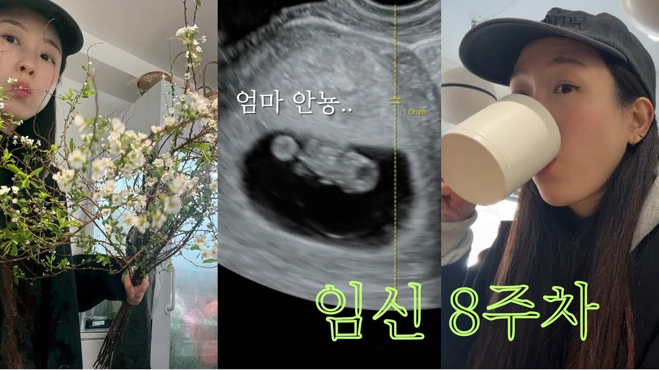 🤰 임신 8주차 브이로그 ㅣ 꽃집의 하루 그리고 8주 젤리곰 보고 왔습니다,,!