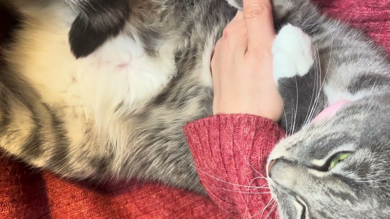 ロンロンセラピー