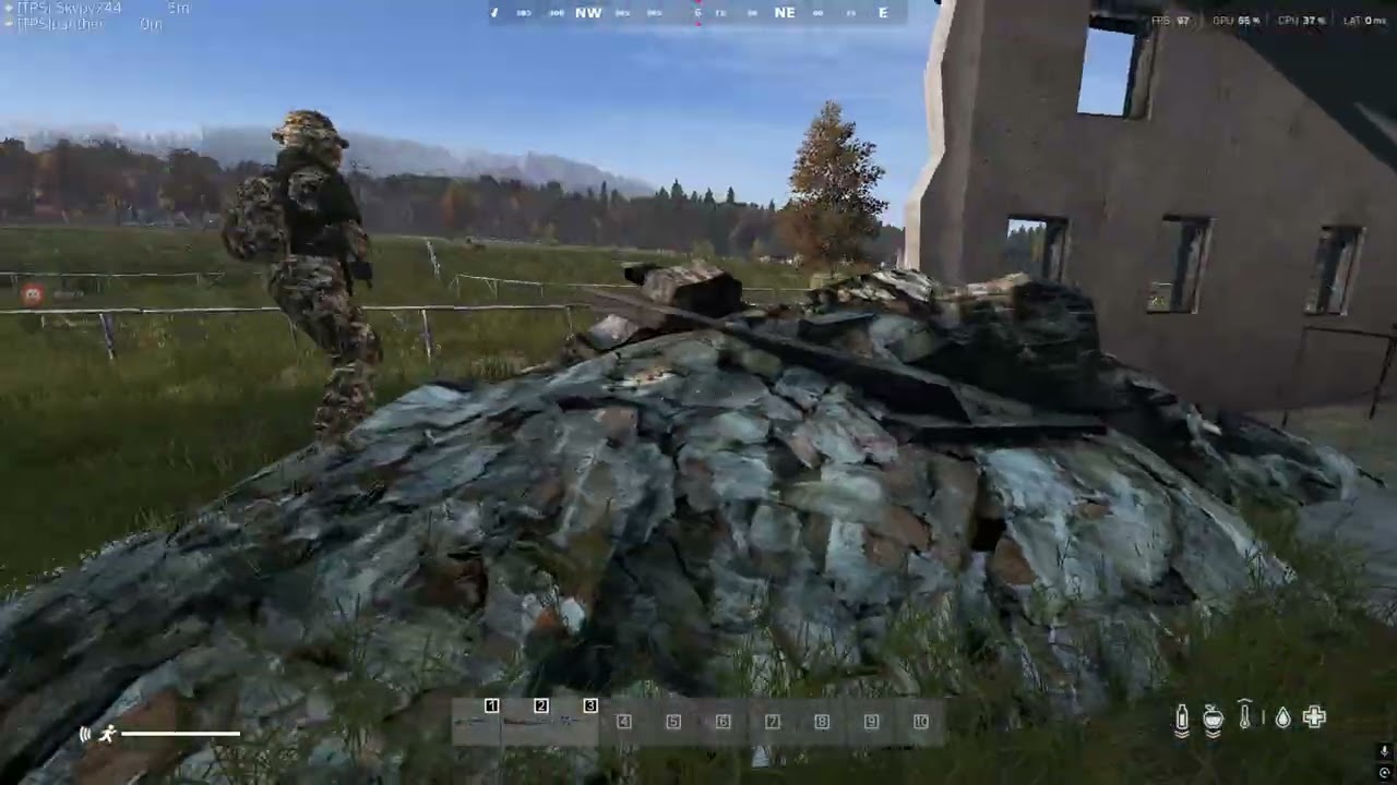 DayZ