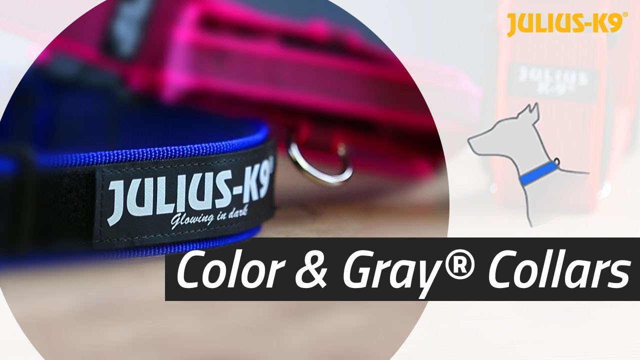 Color & Gray® Collars