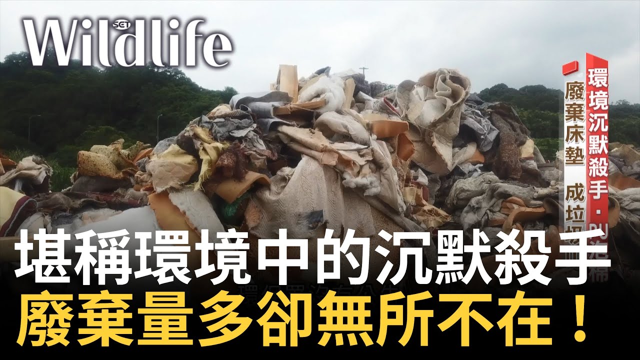 一堆堆如山的PU泡棉堪稱環境沉默殺手 ! 車座椅.沙發.床墊都有它的存在 全球PU製品僅有三成可資源化 再利用技術尚未普及 ｜【Wildlife】20240603｜三立新聞台
