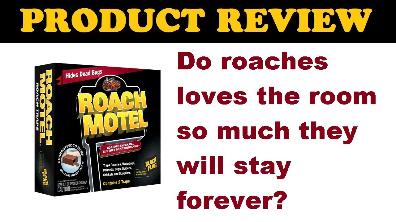 Product Review: Combat Roach Motel