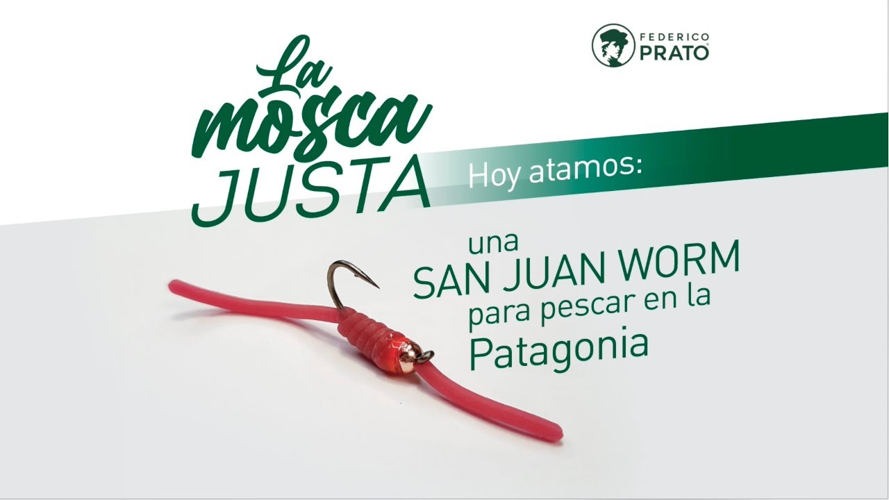 La Mosca Justa: San Juan Worm